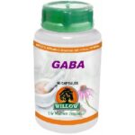Willow Wellness – Gaba 60 Caps